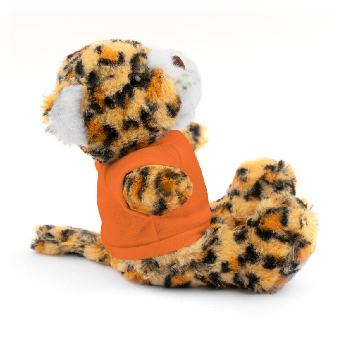 Kiwi Stripe Teddy Bear with Graphic Tee
