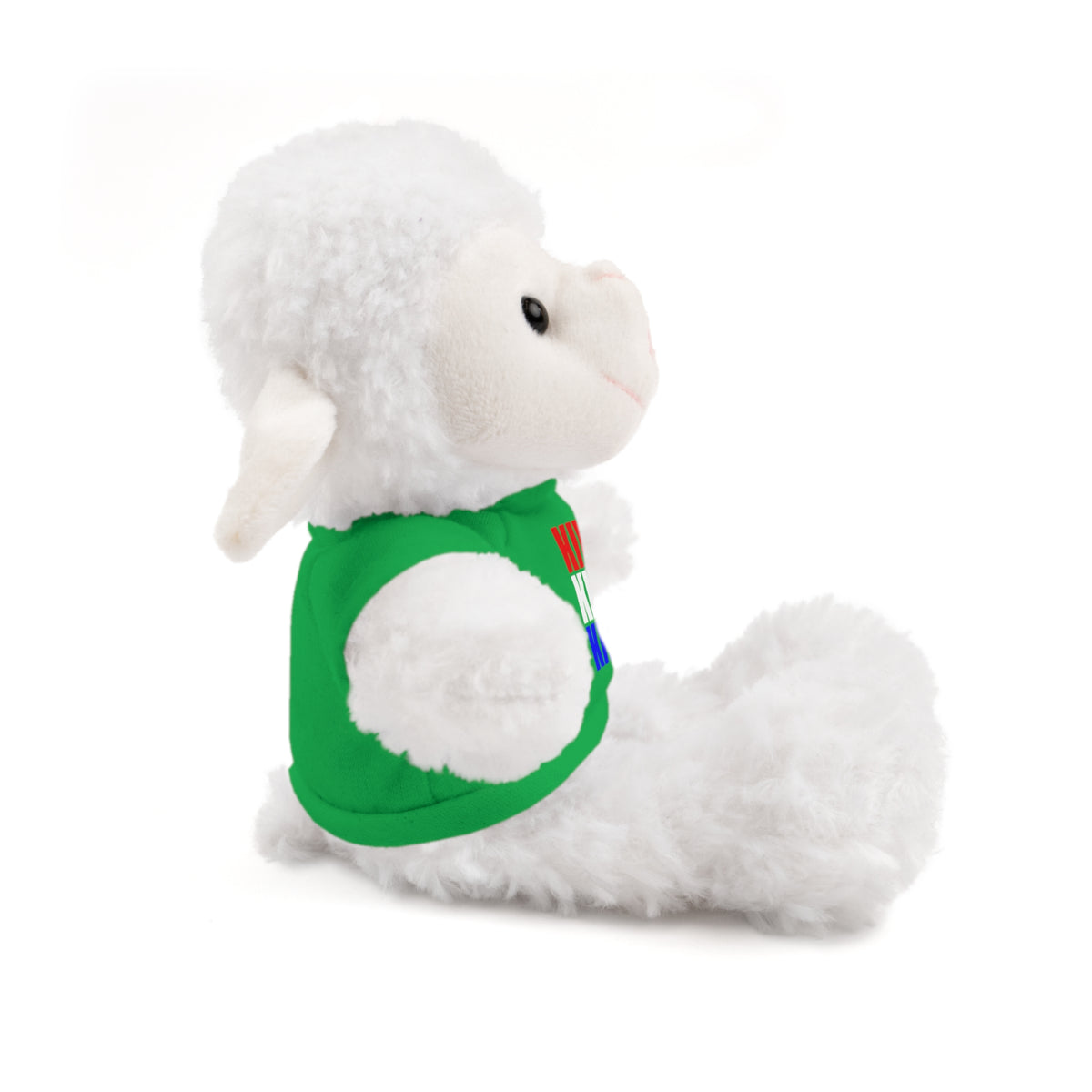 Kiwi Stripe Teddy Bear with Graphic Tee