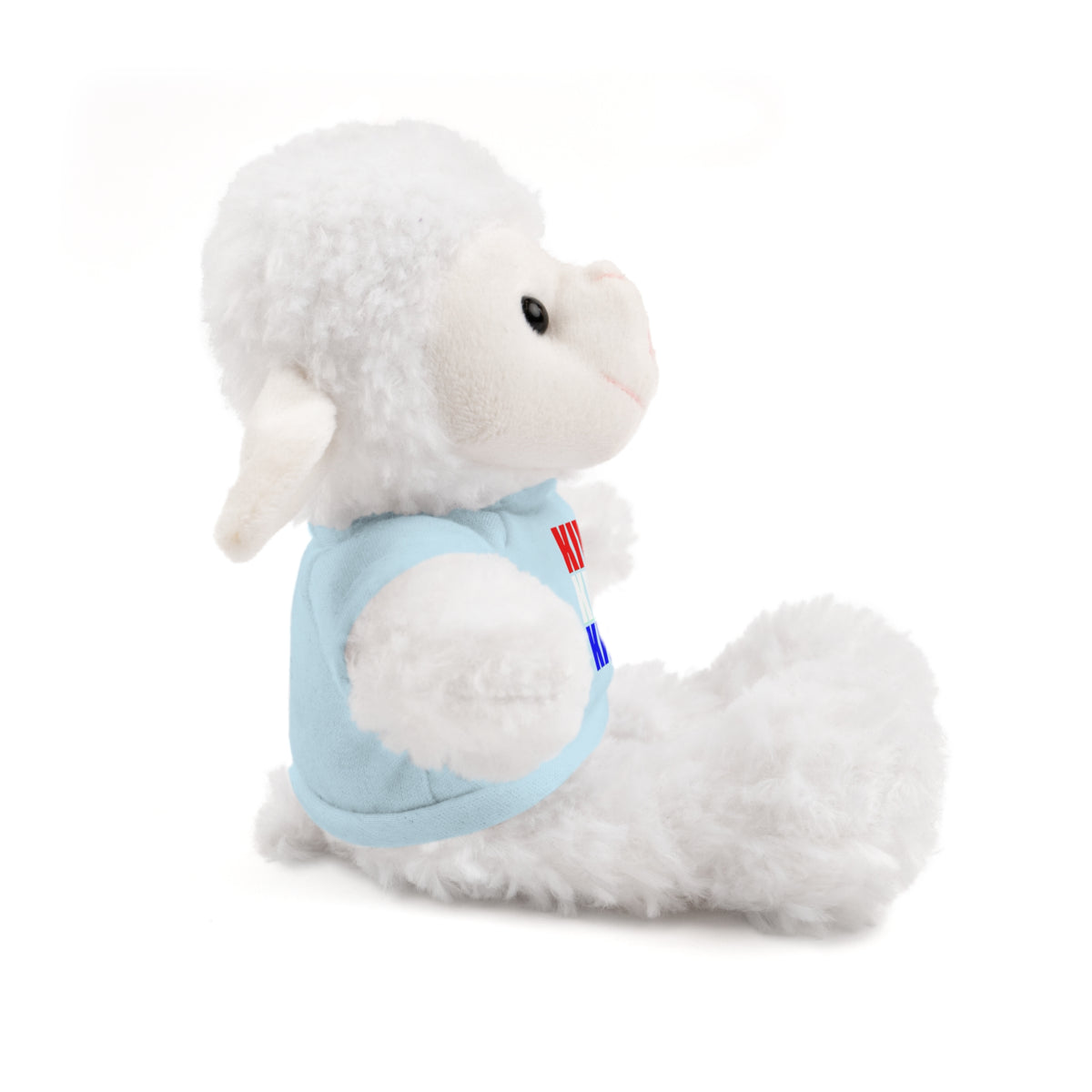 Kiwi Stripe Teddy Bear with Graphic Tee