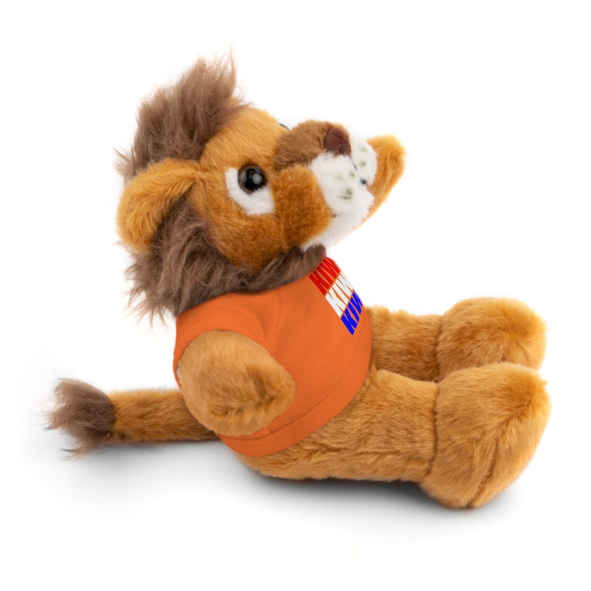 Kiwi Stripe Teddy Bear with Graphic Tee