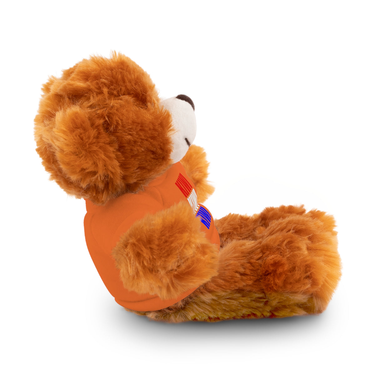 Kiwi Stripe Teddy Bear with Graphic Tee
