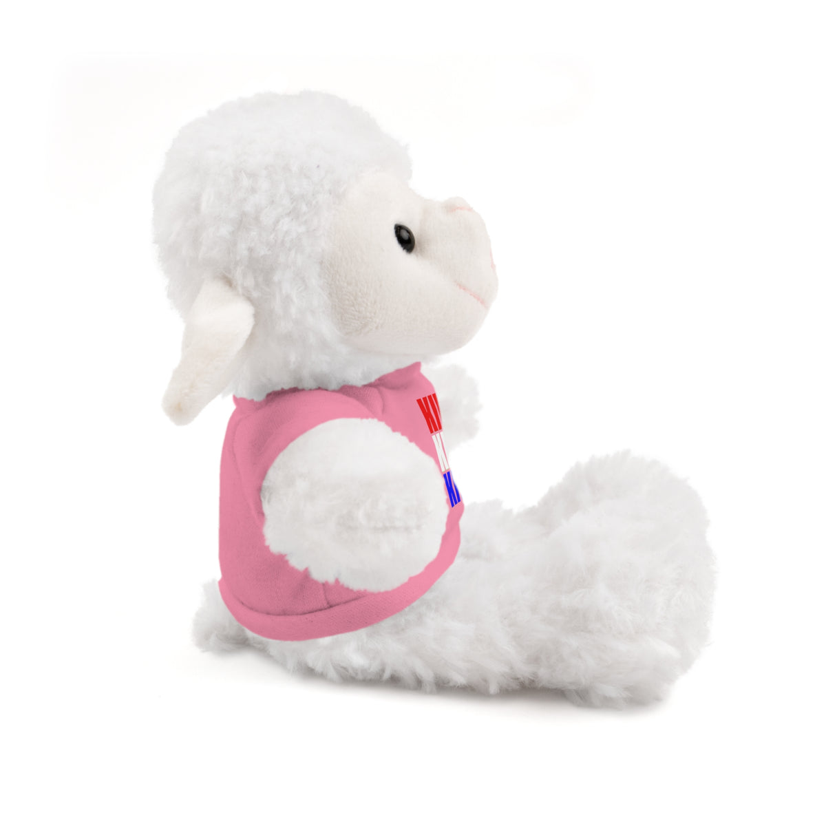 Kiwi Stripe Teddy Bear with Graphic Tee