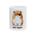 Grumpy Pirate Cat Mug – "Not Today!" Funny Coffee Ceramic Mug (11oz & 15oz)