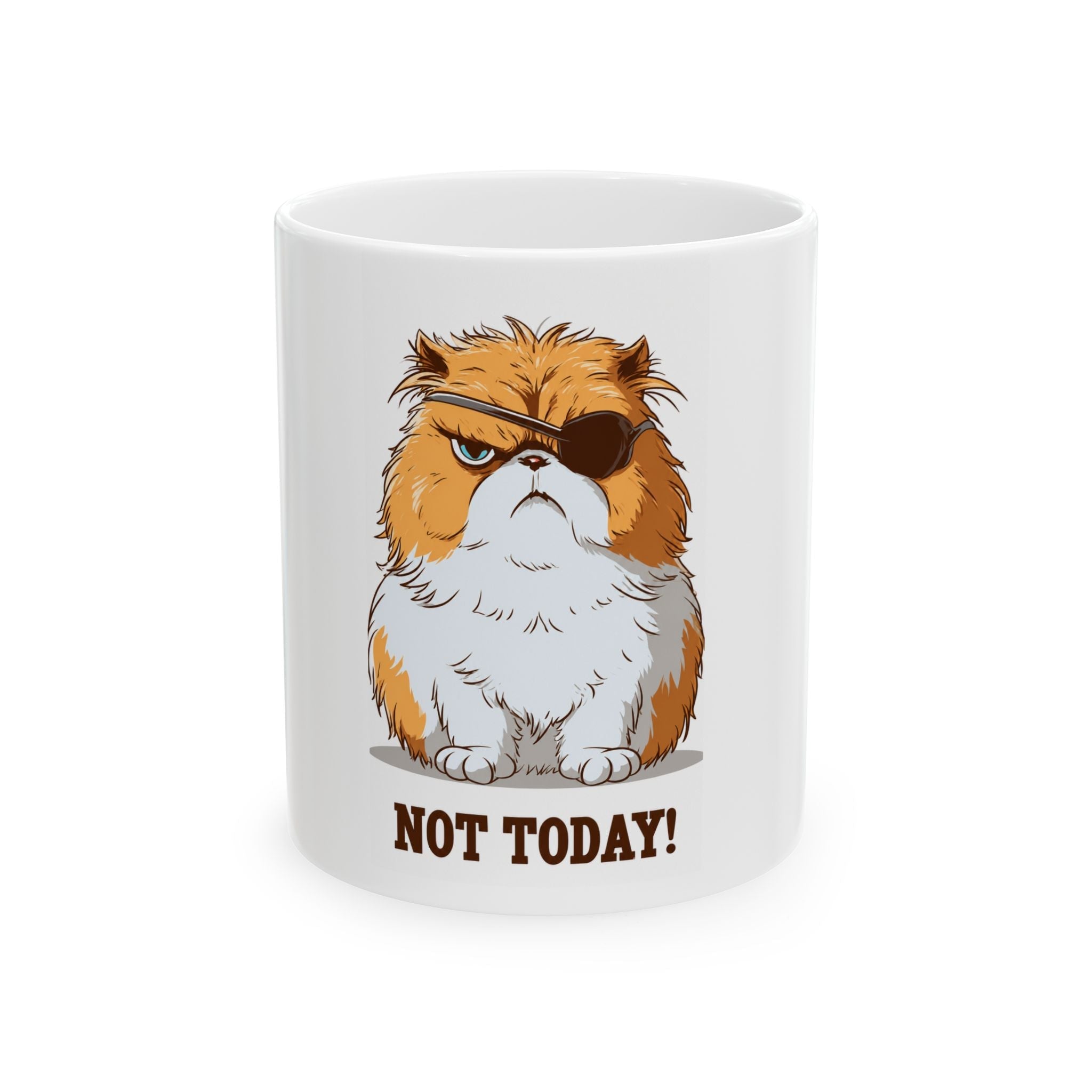 Grumpy Pirate Cat Mug – "Not Today!" Funny Coffee Ceramic Mug (11oz & 15oz)