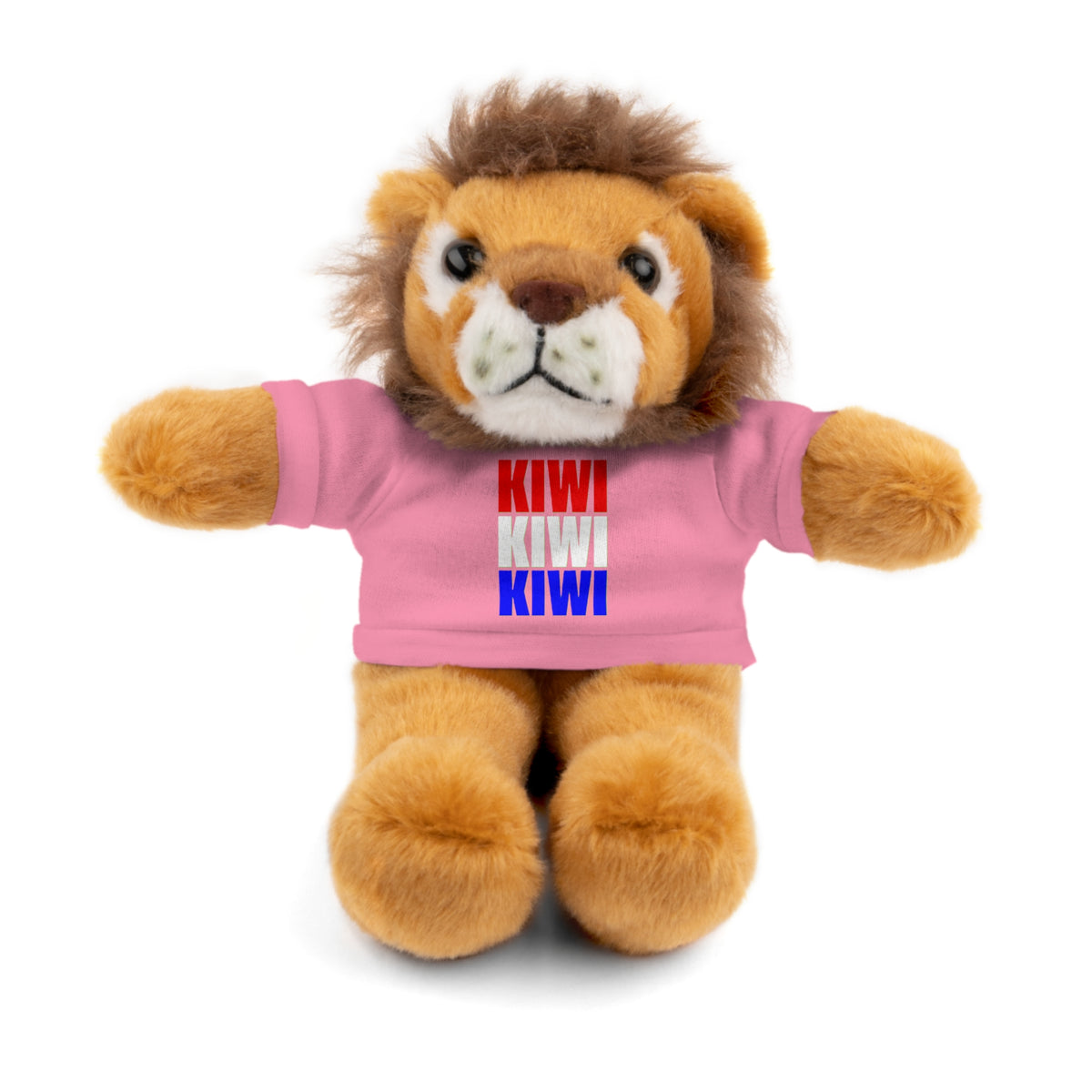 Kiwi Stripe Teddy Bear with Graphic Tee