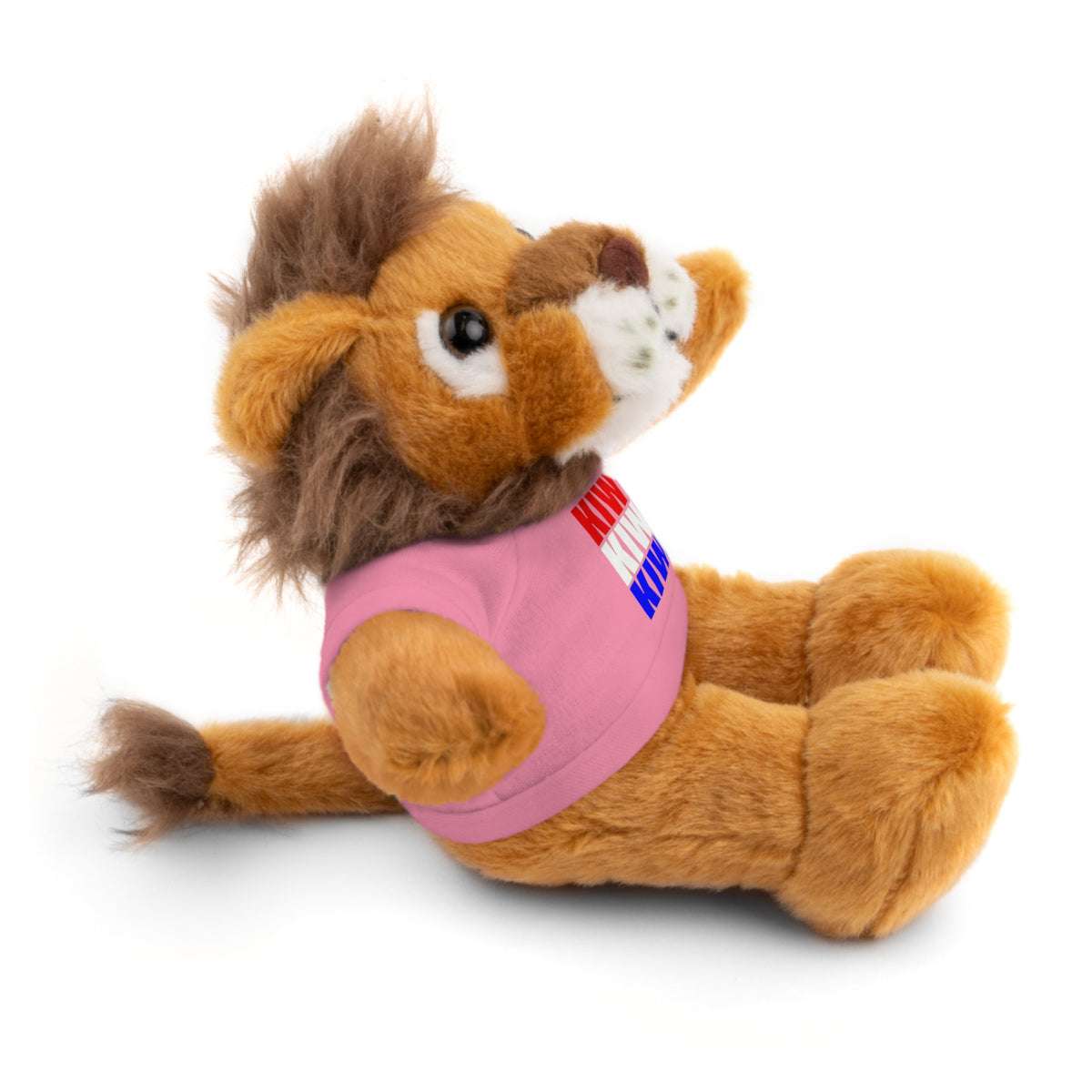 Kiwi Stripe Teddy Bear with Graphic Tee