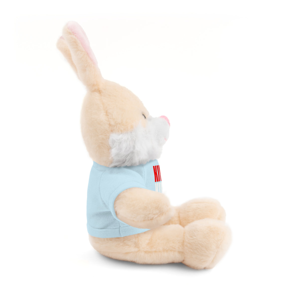 Kiwi Stripe Teddy Bear with Graphic Tee