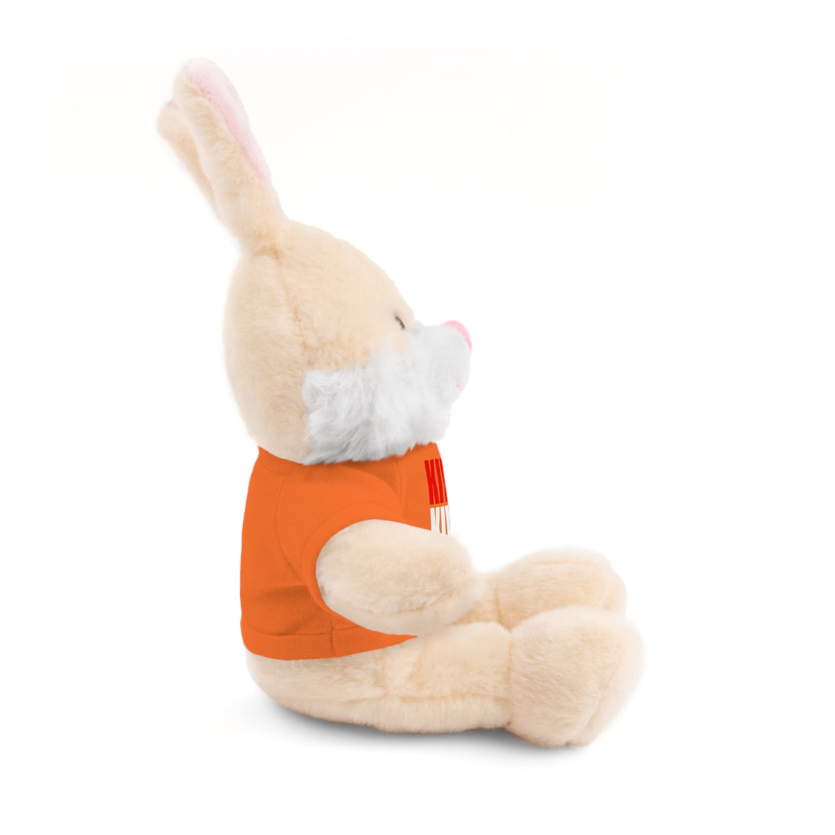 Kiwi Stripe Teddy Bear with Graphic Tee