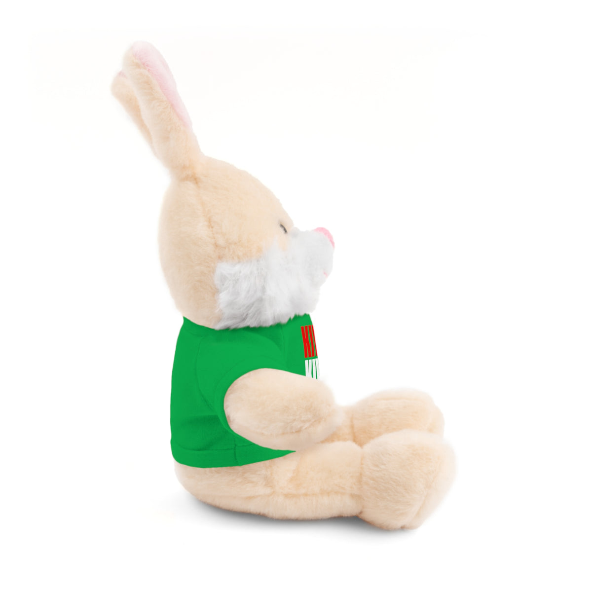 Kiwi Stripe Teddy Bear with Graphic Tee