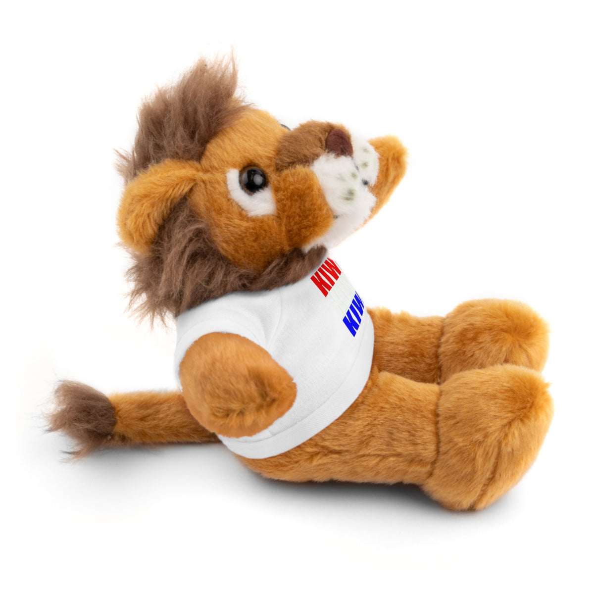 Kiwi Stripe Teddy Bear with Graphic Tee