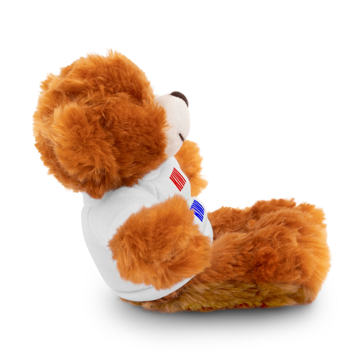 Kiwi Stripe Teddy Bear with Graphic Tee