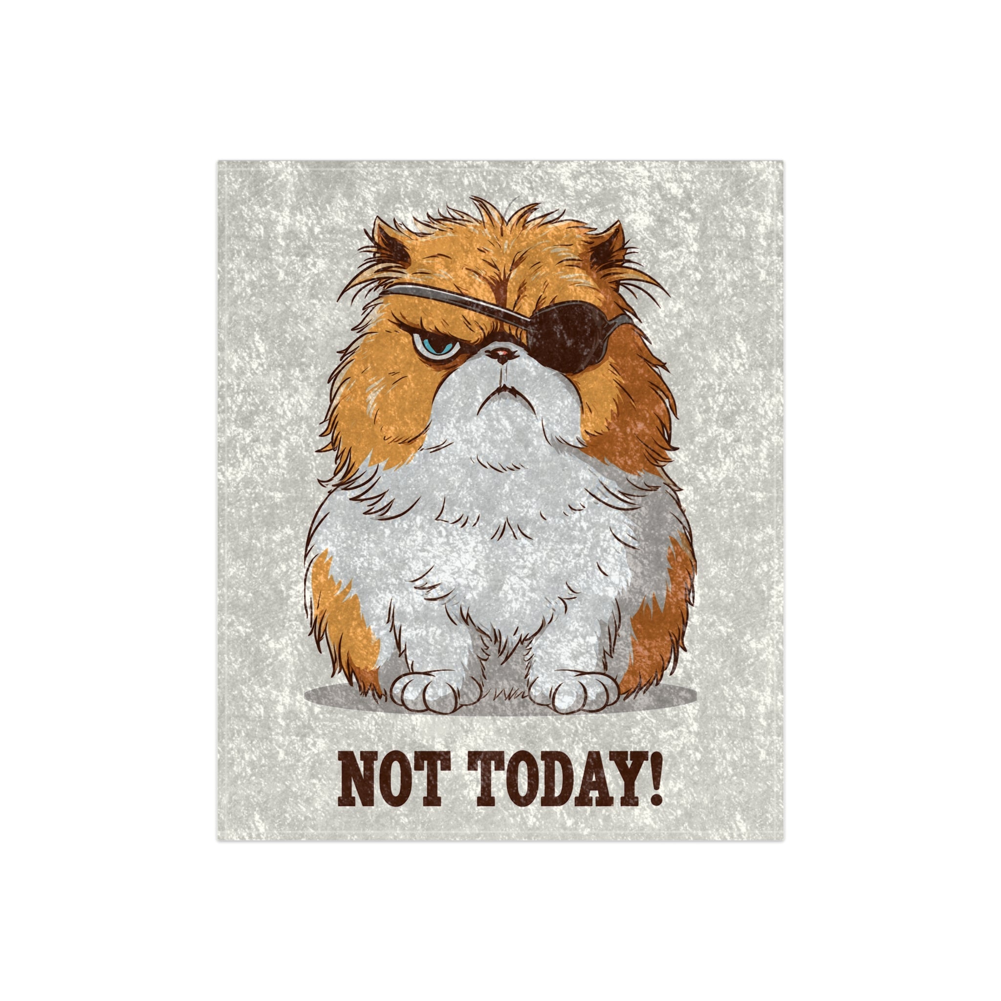 Crushed Velvet Blanket — Grumpy Pirate Cat “NOT TODAY!” Throw Blanket