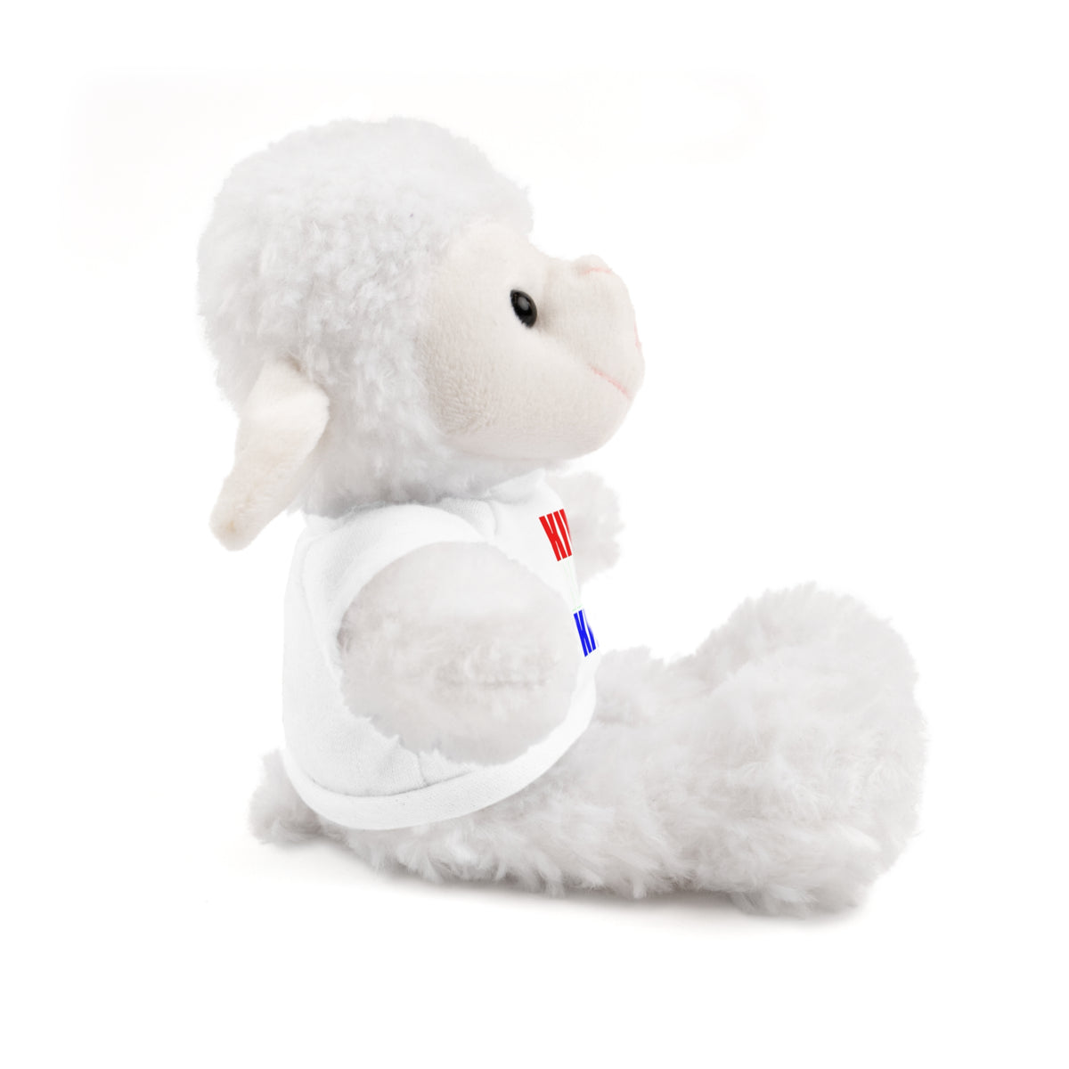 Kiwi Stripe Teddy Bear with Graphic Tee