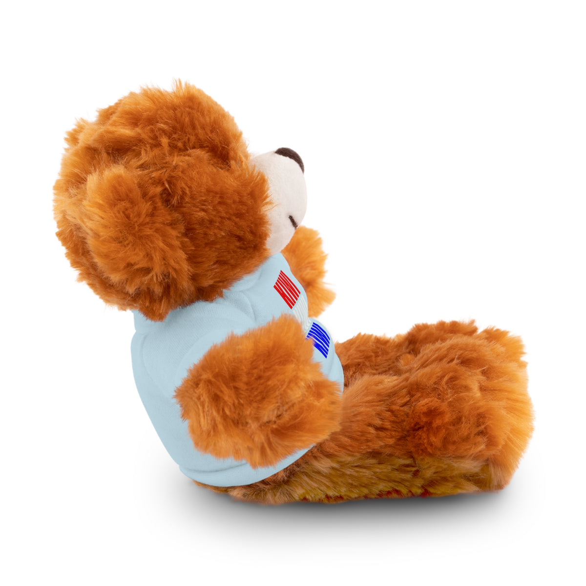 Kiwi Stripe Teddy Bear with Graphic Tee