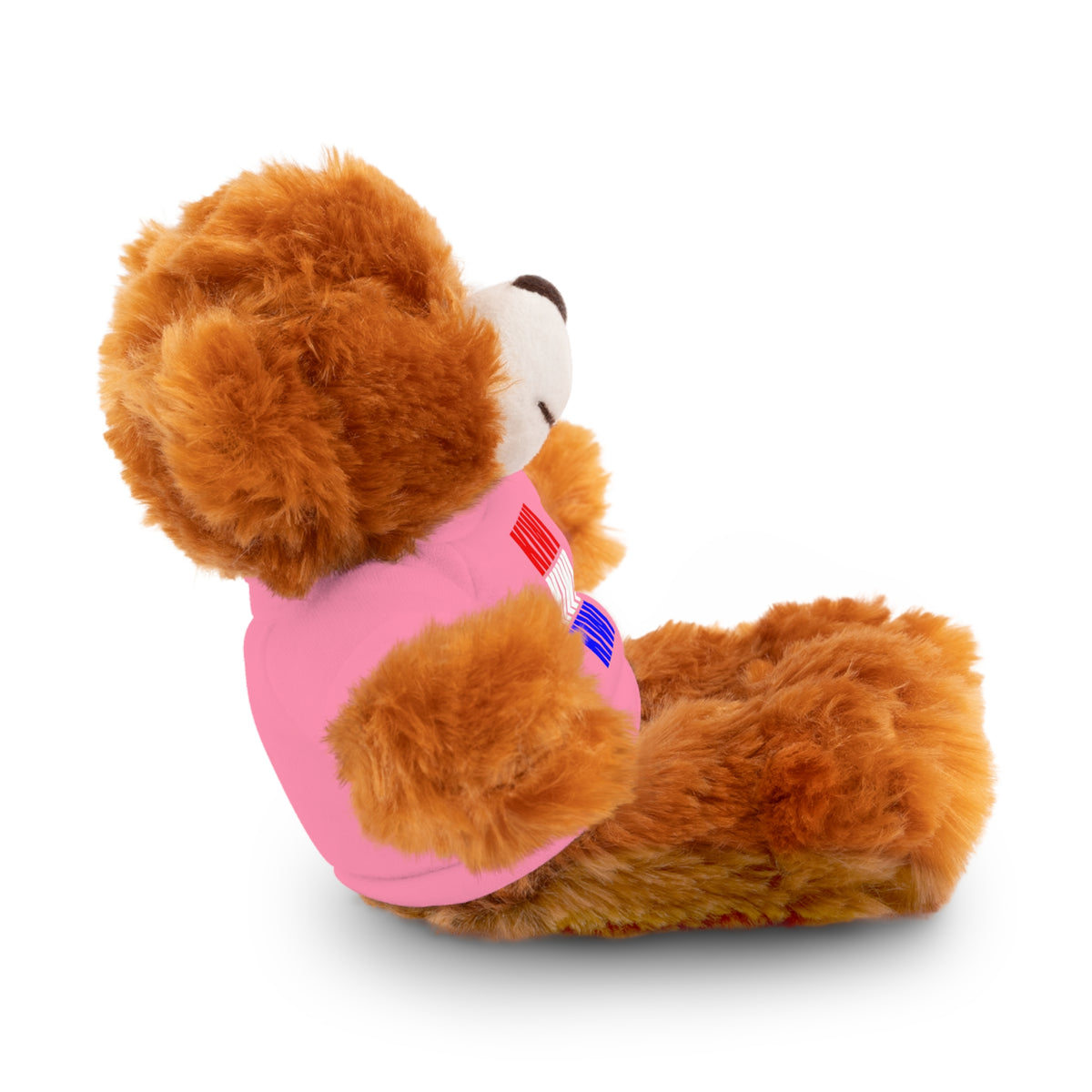 Kiwi Stripe Teddy Bear with Graphic Tee